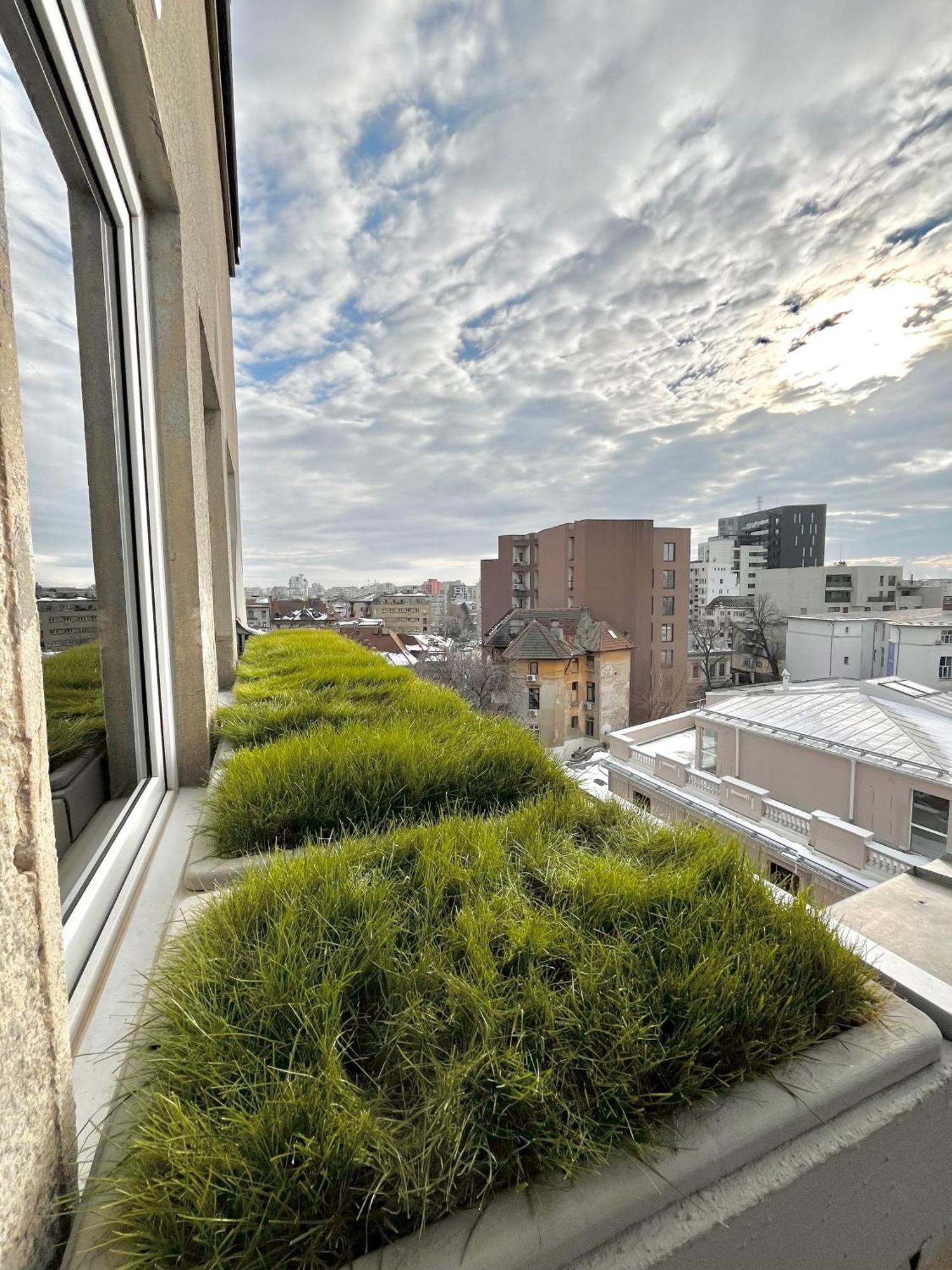 Appartamento Terrace View Downtown